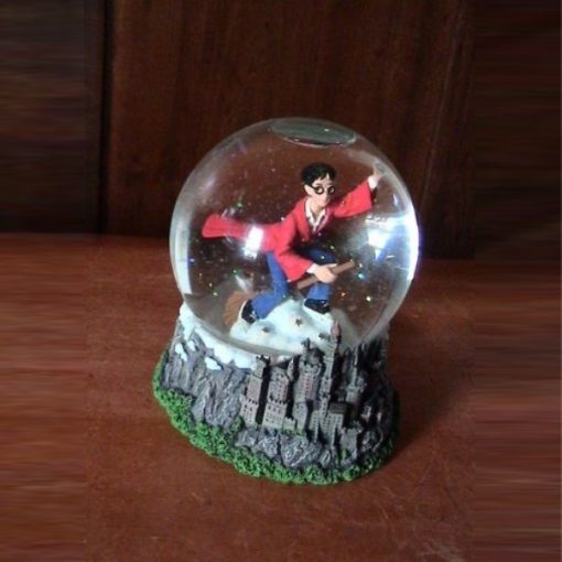 853100 - Waterball Harry playing quidditch - Masterpieces.nl