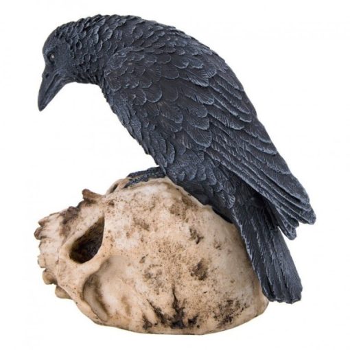 NEM5256 - Raven on skull - Masterpieces.nl