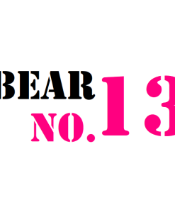 Bear no. 13