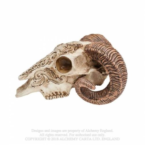 V53 - Scrimshaw Ram skull - Masterpieces.nl