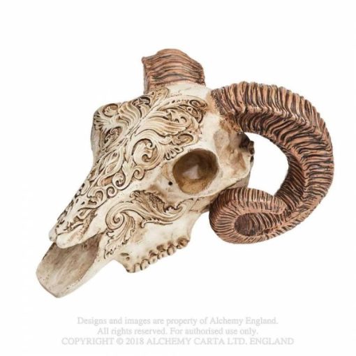 V53 - Scrimshaw Ram skull - Masterpieces.nl