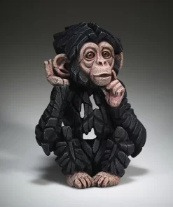 ED41 - Baby Chimpanzee 