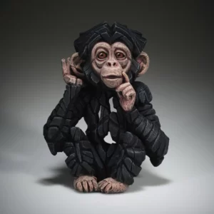 ED41 - Baby Chimpanzee 