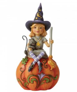 6006702 - Frequent Flyer (Witch Sitting On Pumpkin) - Masterpieces.nl