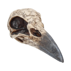 B1986F6 Edgar's Raven Skull - Masterpieces.nl