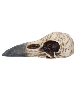 B1986F6 - Edgar's Raven Skull - Masterpieces.nl