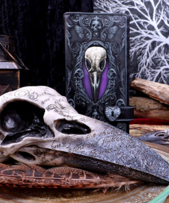 B1986F6 - Edgar's Raven Skull - Masterpieces.nl