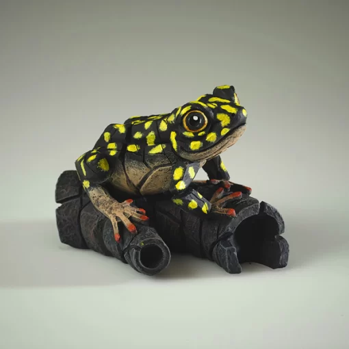 ED43YS - African Tree Frog (Yellow Spot) - Masterpieces.nl