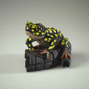 ED43YS - African Tree Frog (Yellow Spot) - Masterpieces.nl