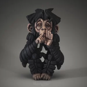 ED45 - Baby Chimpanzee 