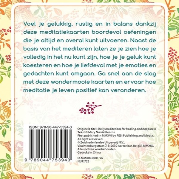 Meditatie oefeningen voor elke Dag - Mary Nurriestearns - Masterpieces.nl