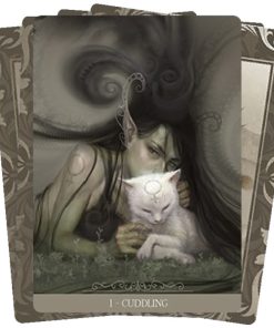 Fantasy Cats Oracle - Paolo Barbieri