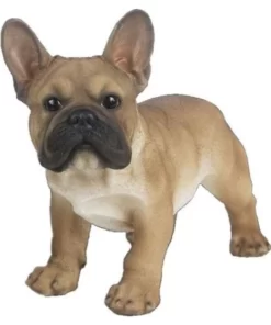 ED37000224B - Franse Bulldog bruin staand - Masterpieces.nl