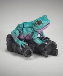 ED43AP - African Tree Frog (Aqua Pink) - Masterpieces.nl