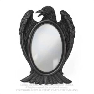 V105 Black raven mirror 1