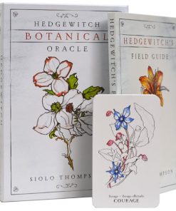 0311-GBS91 - Hedgewitch Botanical Oracle - Siolo Thompson - Masterpieces.nl