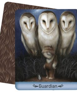 0703-GC48 - Gentle Creatures Wisdom Deck - Arwen Lynch & Dan May - Masterpieces.nl