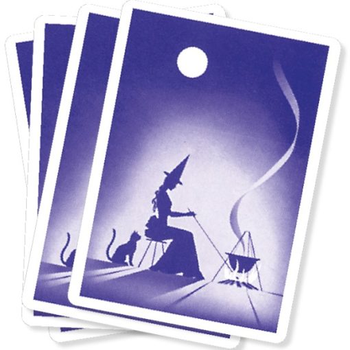 1108-RFTS99 - Gypsy Witch Fortune Telling Cards Deck & Book Set - Fabio Vinago - Masterpieces.nl