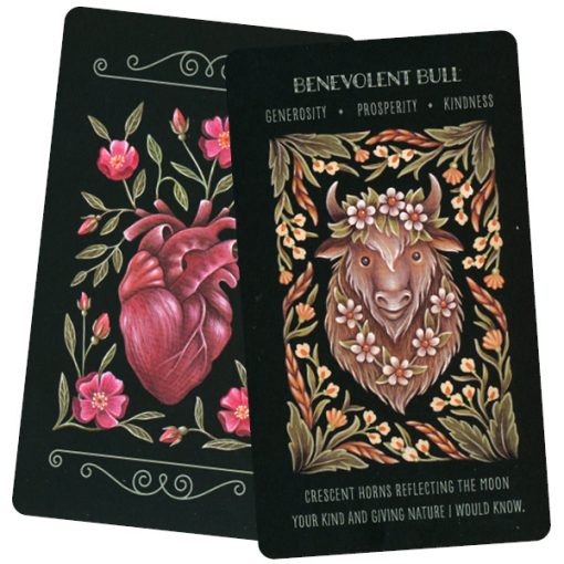 1427-FL01 - Wild Whiskers Oracle Deck - Faina Lorah - Masterpieces.nl