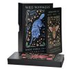 1427-FL01 - Wild Whiskers Oracle Deck - Faina Lorah - Masterpieces.nl