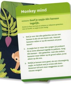 1793-got601 - Monkey Mind Kaarten Set - Carolyn Kanjuro - Masterpieces.nl